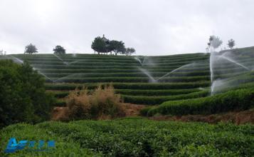 淄川区2015年农田水利设施维修养护项目招标公告